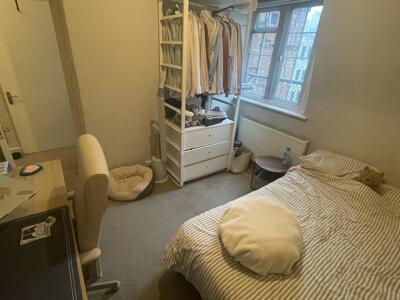 Picture 7